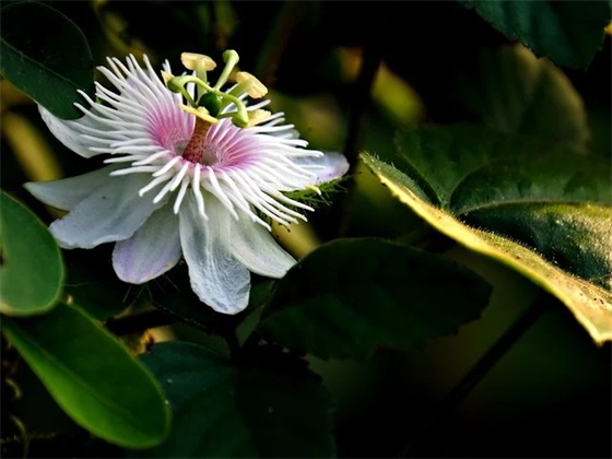 电子商务公司创意名字，大气的电商公司名字大全