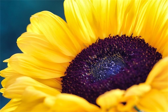 爱读书英文名言