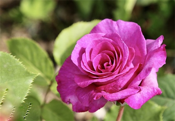 有关于积累的名言83句