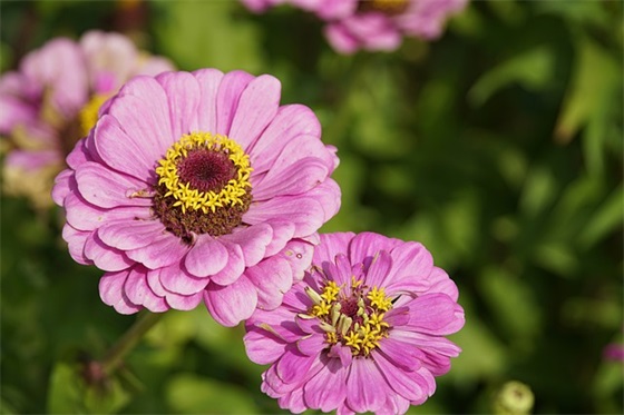 英语谚语及名言警句165句