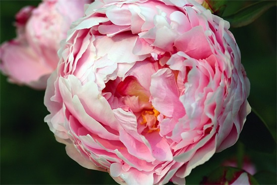 成功的名言名句100句