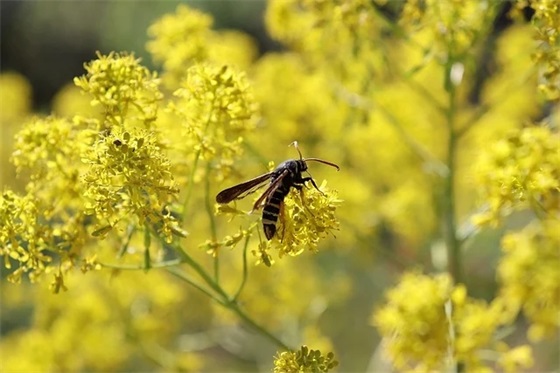 最经典的名人名言