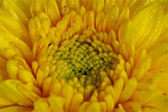 哲理性名人名言87句