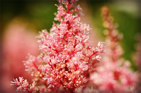 精选关于不忘初心、坚持自己的职业道德与操守的正能量名言警句