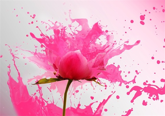 拿破仑名言名句大全82句