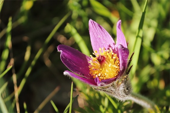 教育孩子的名言90句