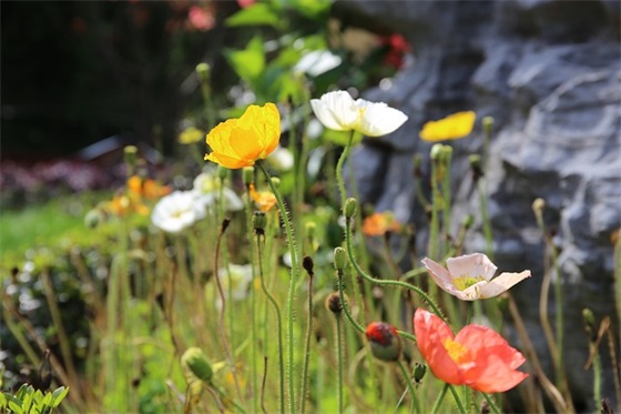 珍惜时间的名人名言大全97句