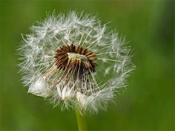 热爱祖国的名言