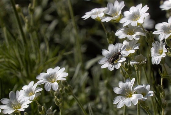 关于成功的名言名句100句
