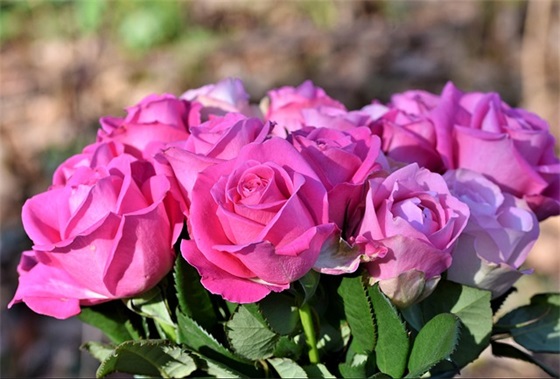 独处时候的自己才是真实的自己