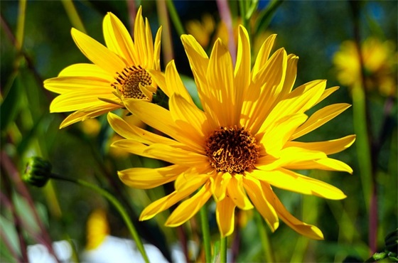 开学第一课先辈的旗帜观后感范文