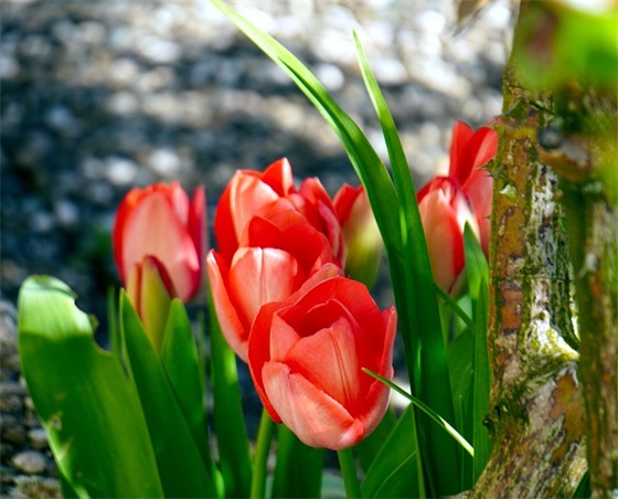 草把做灯的歇后语 草把做灯的歇后语