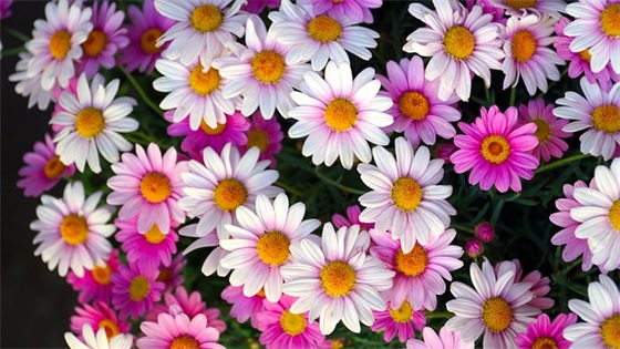 名人名言座右铭83句 名人名言座右铭83句