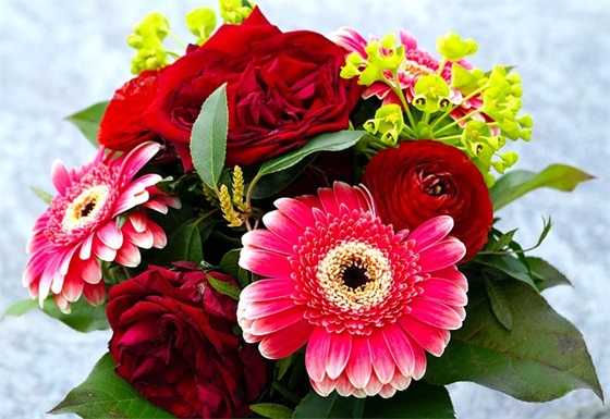 奋斗的名言警句