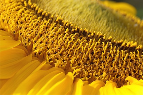 单身狗的励志名言96句