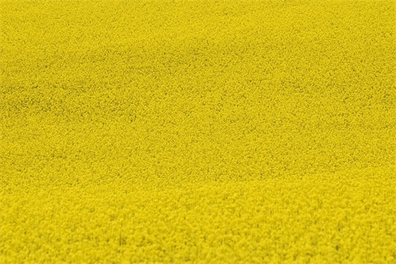 惜时名人名言警句