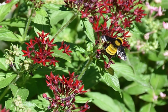 曹操名言名句95句 曹操名言名句95句