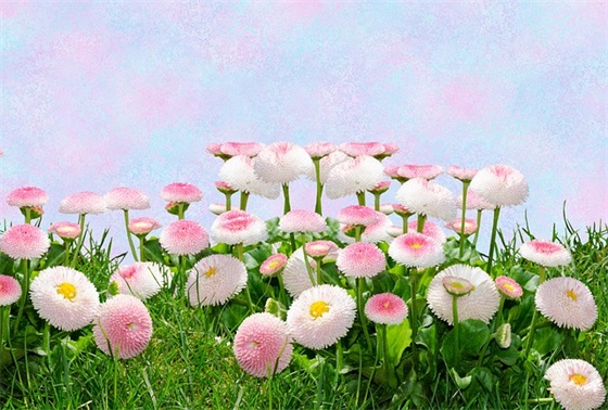 告诫自己的名言警句 告诫自己的名言警句