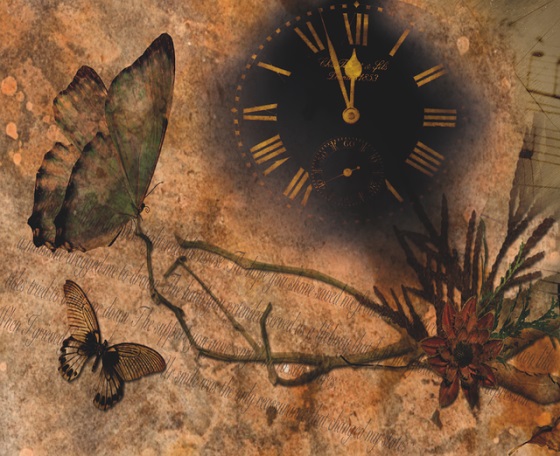 猴子的格言51句