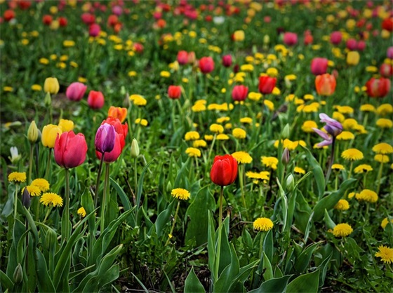 十一月最美的人生格言