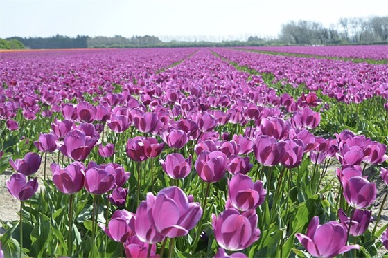 班训班风班级格言