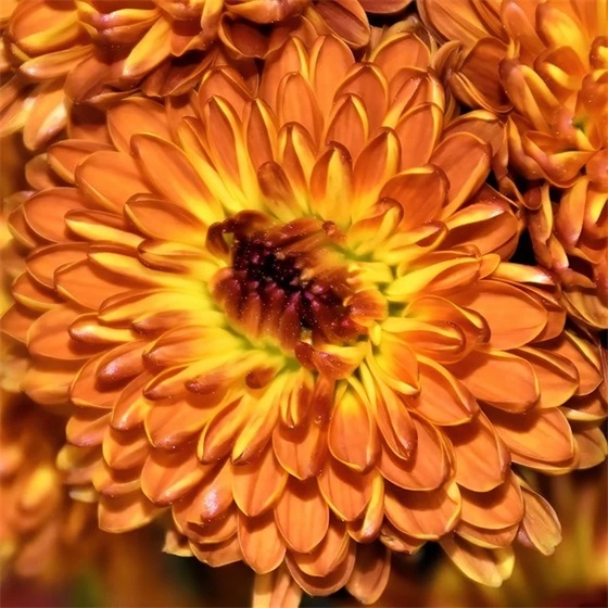 古代人生格言80句