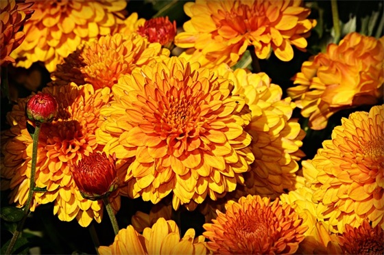 励志的销售格言大全63句