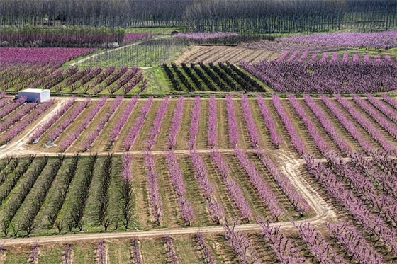 班级格言高中创意89句