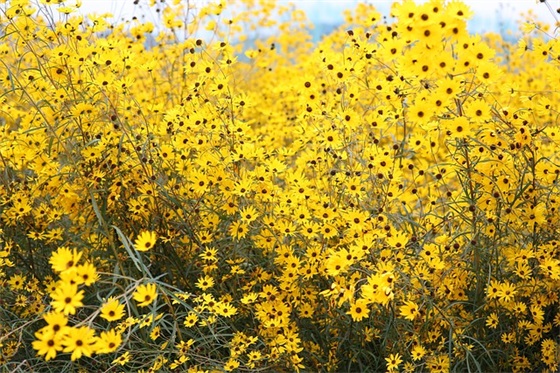 安全生产格言84句