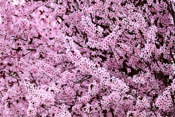 节俭的格言100句