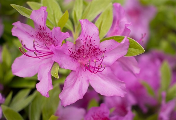 有关读书的格言70句