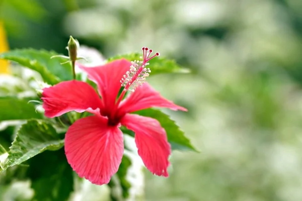 家风家教格言87句