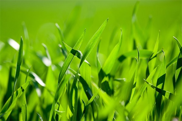 安全格言警句锦集100句