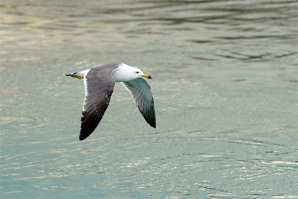 为人处事方面的格言105句