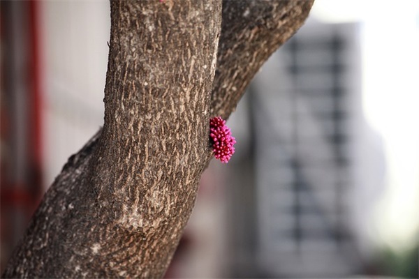 爱国的格言大全74句