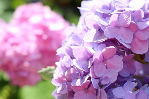 设计师的人生格言70句