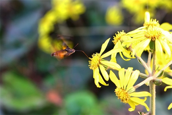 游戏网名超拽霸气2025年74句