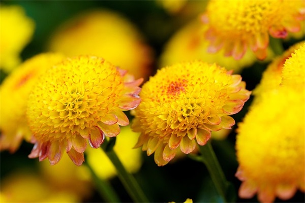 寓意好的公司名参考推荐，新注册公司名称大全大气有内涵