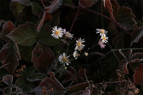 幕墙公司名称大全345个，外墙装饰公司名称大全