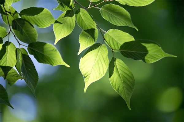 低调有气度的男生微信网名(61个)