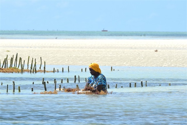 2025抖音火爆昵称50岁(共86个)