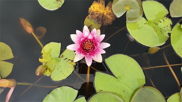 炫舞个性名字大全(72个)