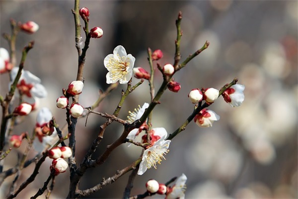 霸气好听三字网名