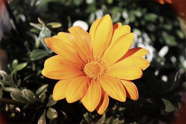 烤生蚝最霸气的店名192个