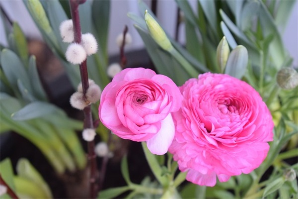 唯美文艺范的昵称大全