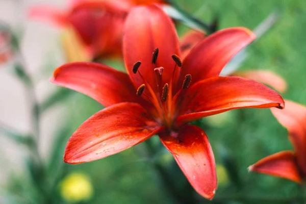 三个字的公司名称大气316个，3个字的公司名称优雅