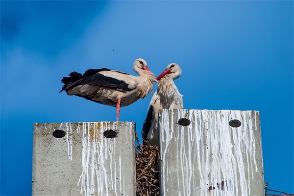 成熟又不失幽默的网名(精选78个)