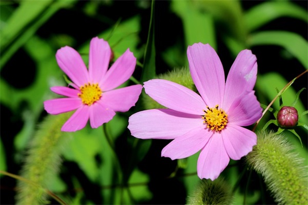 qq空间网名女生超长74句