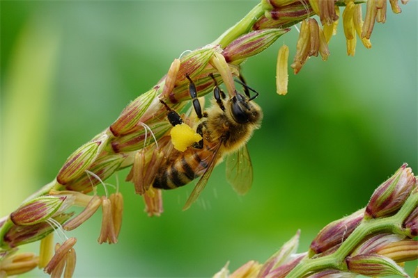 简单而又不平凡的名字(83个)