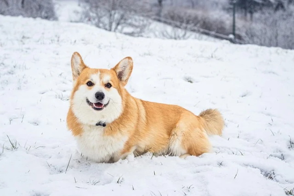 高冷昵称2个字 两个字的网名高冷 高冷昵称2个字 两个字的网名高冷